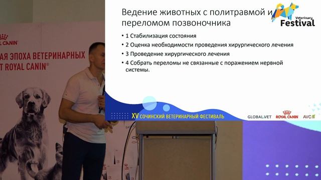 Переломы позвоночника у кошек и собак. смотреть онлайн
