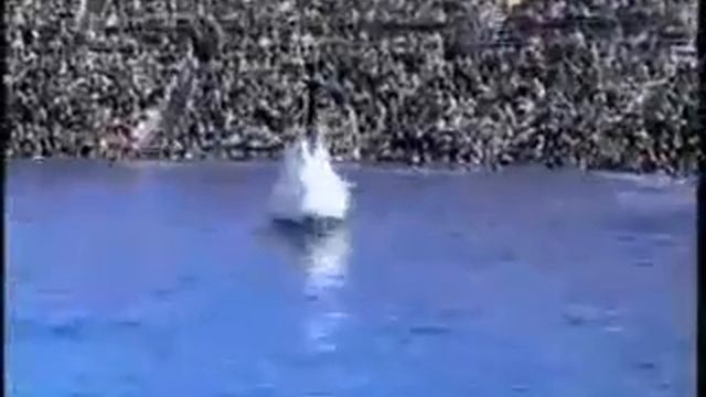 Красивое видео смотреть всем смотреть онлайн