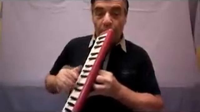 Lesson on melodica - how to hold the instrument while playing смотреть онлайн