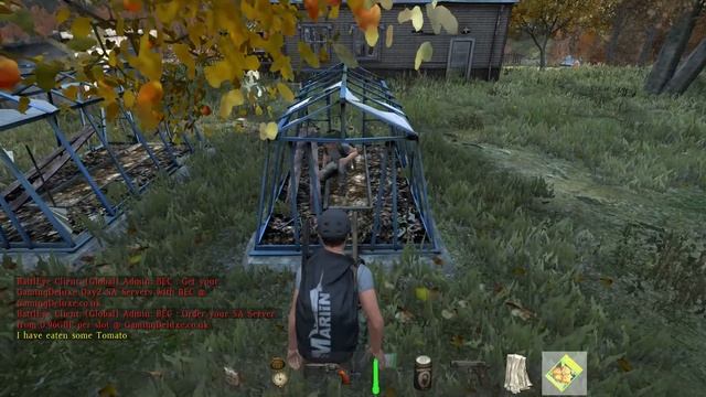 DayZ Standalone - Grow your own survival - Tomato Time! Finale смотреть онлайн