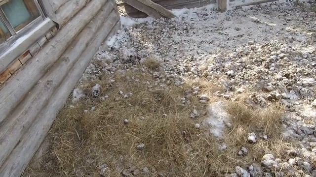 Домашнее хозяйство смотреть онлайн