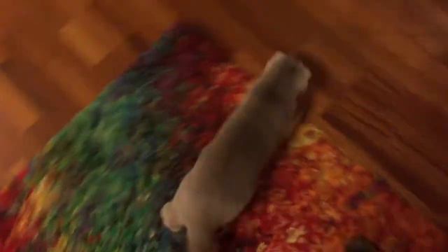 Sochi The Cat: Get seasick / s02.e09 HD смотреть онлайн