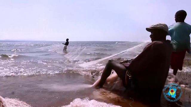 Видео о ДРК (ANAPI) смотреть онлайн