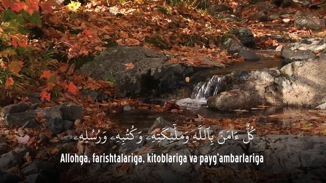 Ruqya. Dam solish oyatlari | @REGISTONTV смотреть онлайн