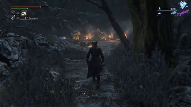 Прохождение Bloodborne. Серия #24: Блуждания в запретном лесу смотреть онлайн