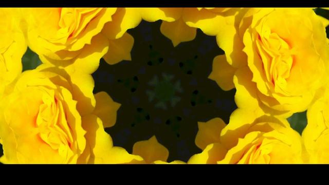 Yellow Rose Kaleidoscope смотреть онлайн
