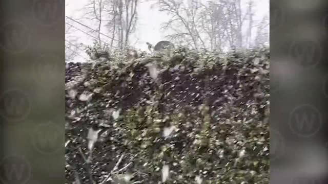 Snow Emergency in California! Blizzard and Snowfall hit Los Angeles, USA смотреть онлайн