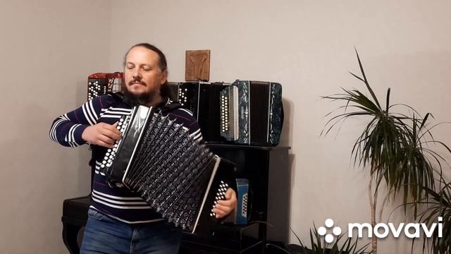 #Течёт ручей#гармонь#шуйская#чайка# смотреть онлайн