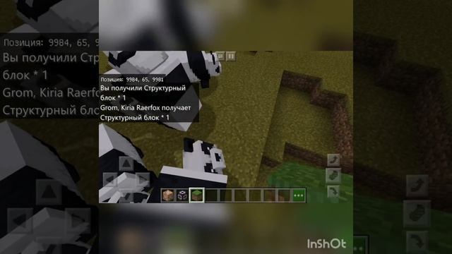 Как легко заспавнить коричневую панду в Minecraft смотреть онлайн