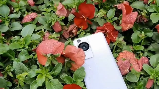 THE NEW KING OF SMARTPHONES - Huawei P60 смотреть онлайн