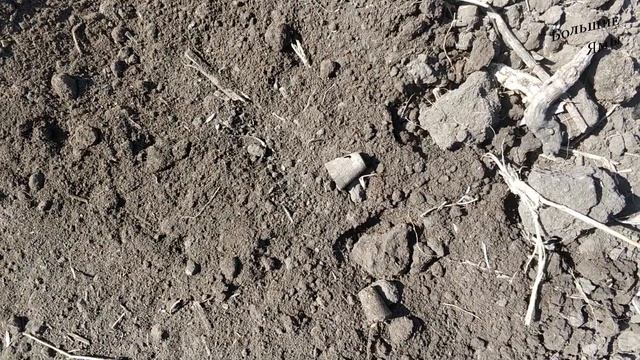 Утро на свежей распашке. смотреть онлайн