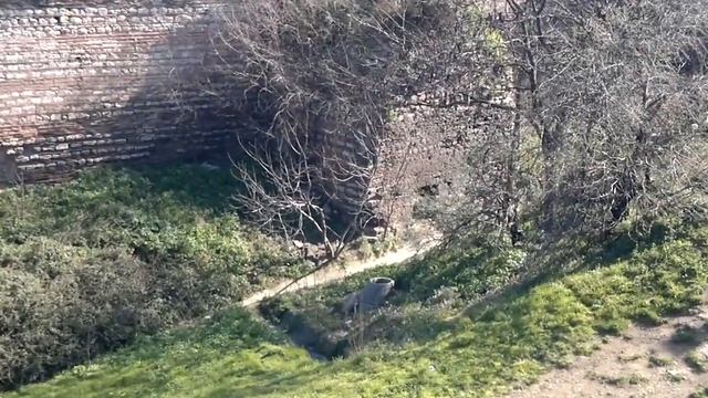 Крепостная стена Византии! 4 видео смотреть онлайн