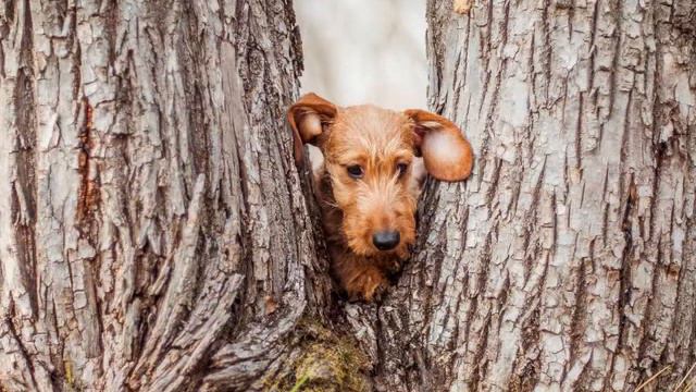 С Днём Рождения!!! смотреть онлайн