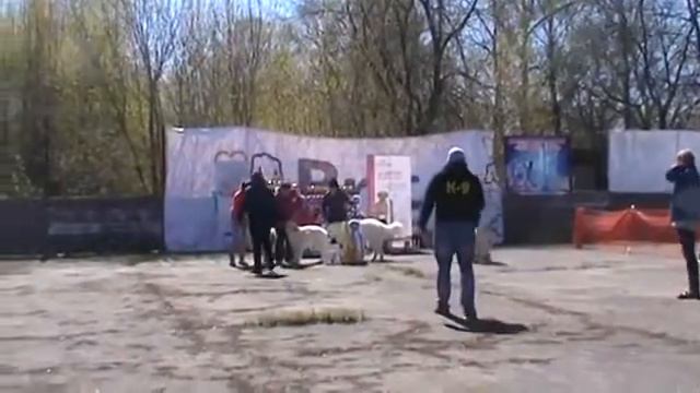 ЛУЧШИЙ ПИТОМНИК - 