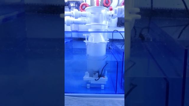 Micro bubble hell смотреть онлайн