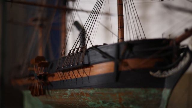 SS Savannah model смотреть онлайн