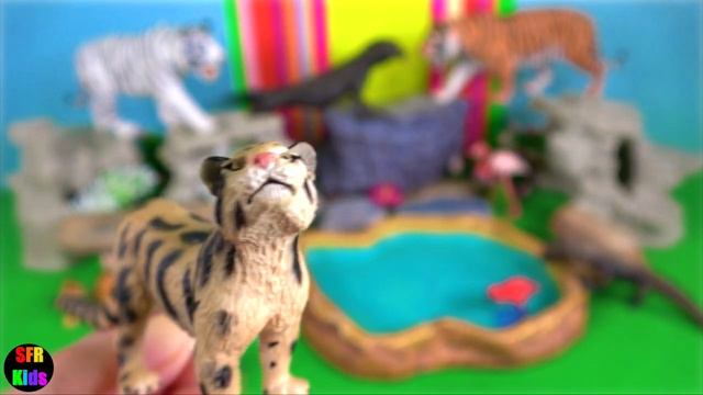 Animals - Tiger Leopard Monkey Komodo Dragon, Clouded Leopard, Sun Bear - SFR Kids смотреть онлайн