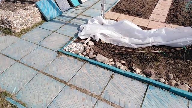 Виноград. Тротуарная плитка. Лак смотреть онлайн