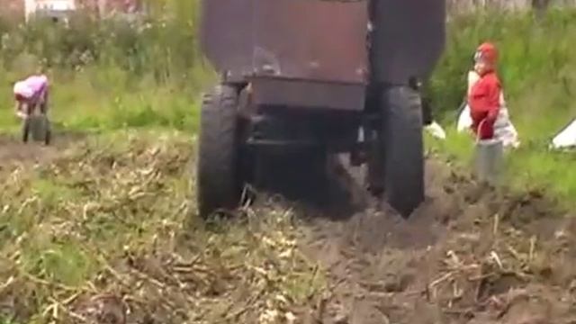 самодельный трактор, копка картофеля 2013г. смотреть онлайн