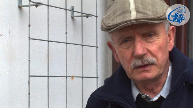 CLEMATIS - How to prune смотреть онлайн