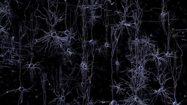 Explained: Optogenetics