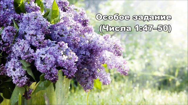 Тихое время с Живой Жизнью: Числа 1:47–54 (12052017) смотреть онлайн