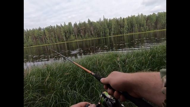 Хорватское яйцо. убийца щук! смотреть онлайн