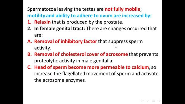 [[ Physiology ]] : Endocrine System ( Male Reproductive System ) ( Part 2 )