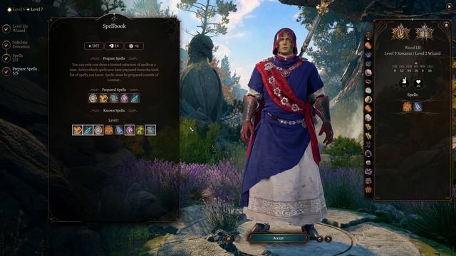 MY FAVORITE PURE SPELLCASTER BUILD in Baldur's gate 3 смотреть онлайн