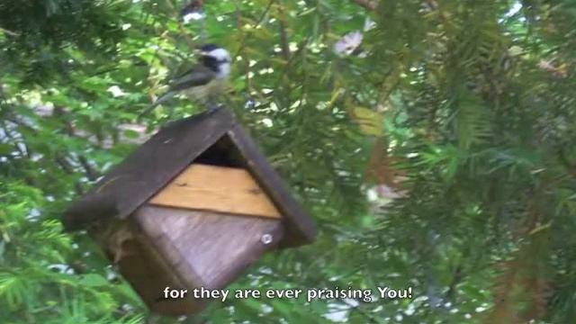 Psalm 84--Lisa Prokopowitz смотреть онлайн