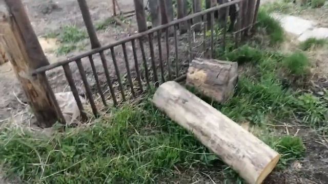 Устанавливаем цилиндр на 2птс4 смотреть онлайн