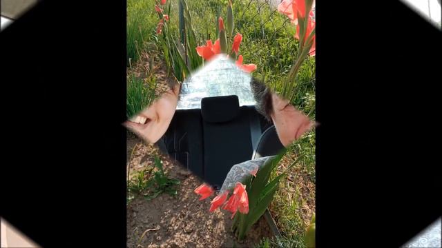 Мой огородик. 1-15 июля 2021 года смотреть онлайн