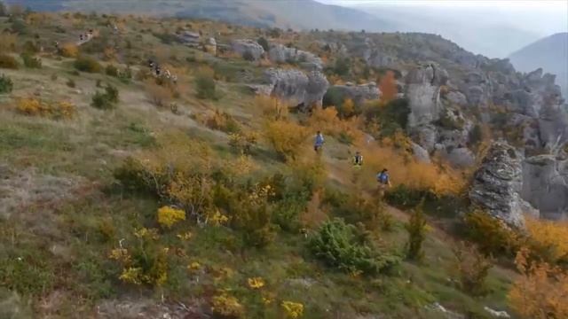 Бренд Kalenji для спортсменов - бегунов (Беговые кроссовки для спортсменов от Decathlon) | Декатлон смотреть онлайн