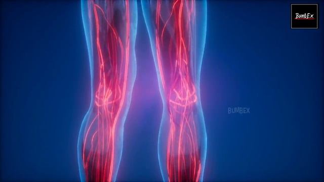 क्या होगा अगर आप रोज 30 push-ups करोगे || what will be happen if you do 30 push-ups Everyday смотреть онлайн