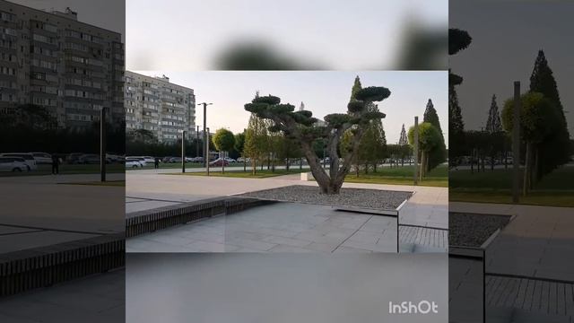 19 июня 2020 г. смотреть онлайн