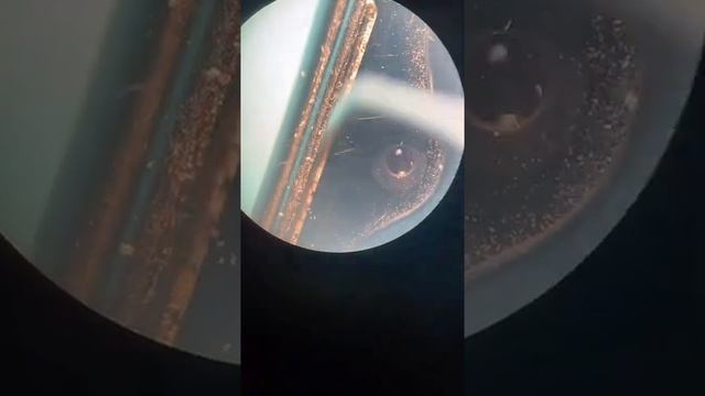 Сколько грязи у тебя ? смотреть онлайн