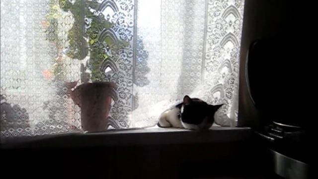Февраль, до свидания!2018 смотреть онлайн