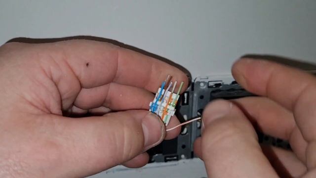 Подключение интернет розетки DKC серия Avanti смотреть онлайн