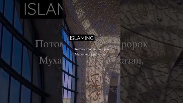 ПОЧЕМУ ЖЕНЩИНАМ И ДЕВУШКАМ НЕЛЬЗЯ ПЛАКАТЬ? #koran #азан #ислам #коран #чечня #дагестан #ингушетия смотреть онлайн