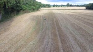 Сергей Есенин. Шаганэ ты моя, Шаганэ!..