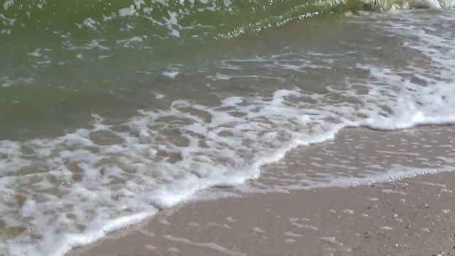 Молочный лиман, 5 апреля 2021 г.