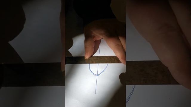 Как измерить лапу для обуви собаке смотреть онлайн