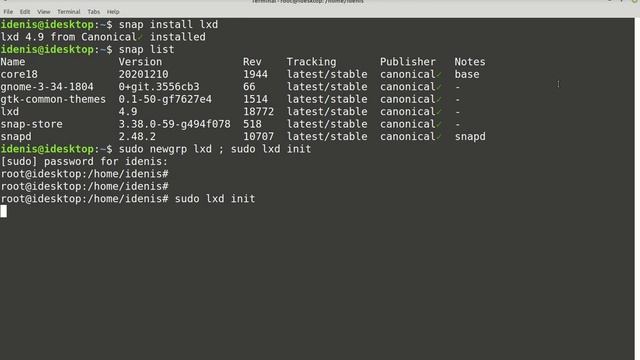 Установка Snap Store и LXD на Linux Mint 20.1 (Ulyssa) смотреть онлайн