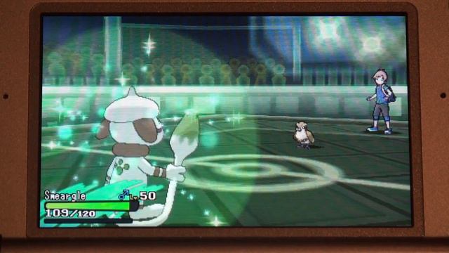 Bash a Bird with Magikarp - Pokemon Reddit Weekly Challenge #8 смотреть онлайн