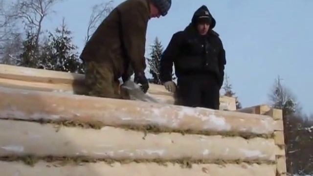 Баня МСК: сборка сруба бани, подъём бревна, утепление на мох