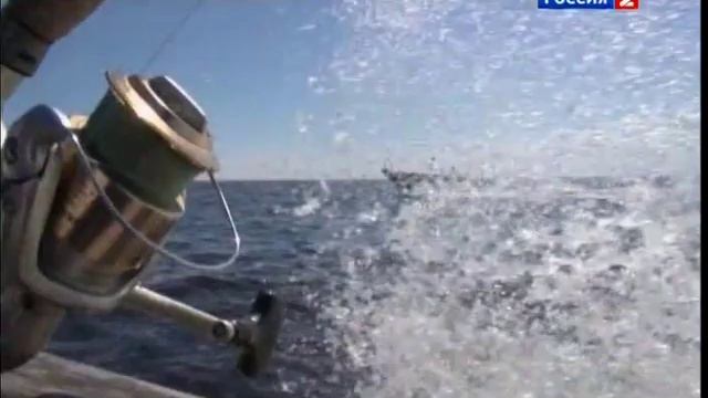Диалоги о рыбалке 2012. Рыбинское водохранилище (часть 1) смотреть онлайн