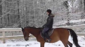 Как ездить строевой рысью без стремян. За счет чего мы встаем на строевой рыси.