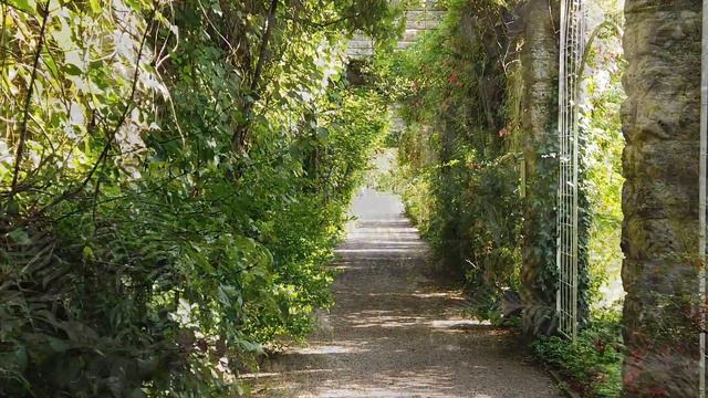 Peaceful Garden | Relaxing Music for Stress Relief and Anxiety - Garden Ambiance смотреть онлайн