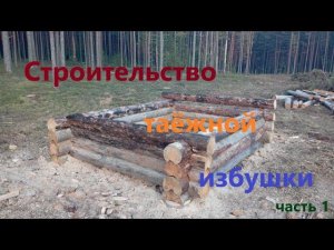 Строительство таёжной избушки часть 1