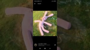 Гугл карты интересные места. Розовый кролик (все что осталось)